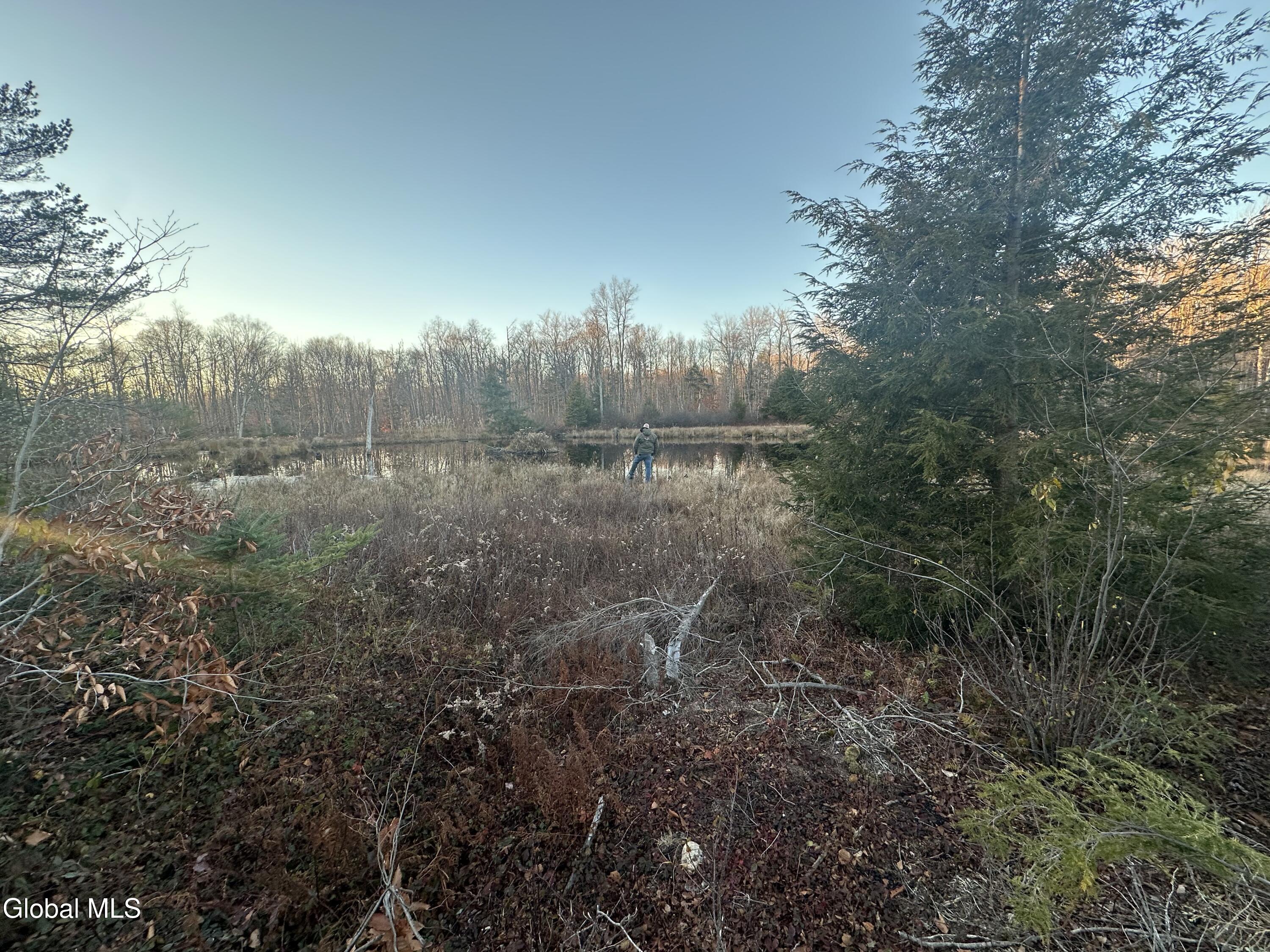 1006 County Highway 119