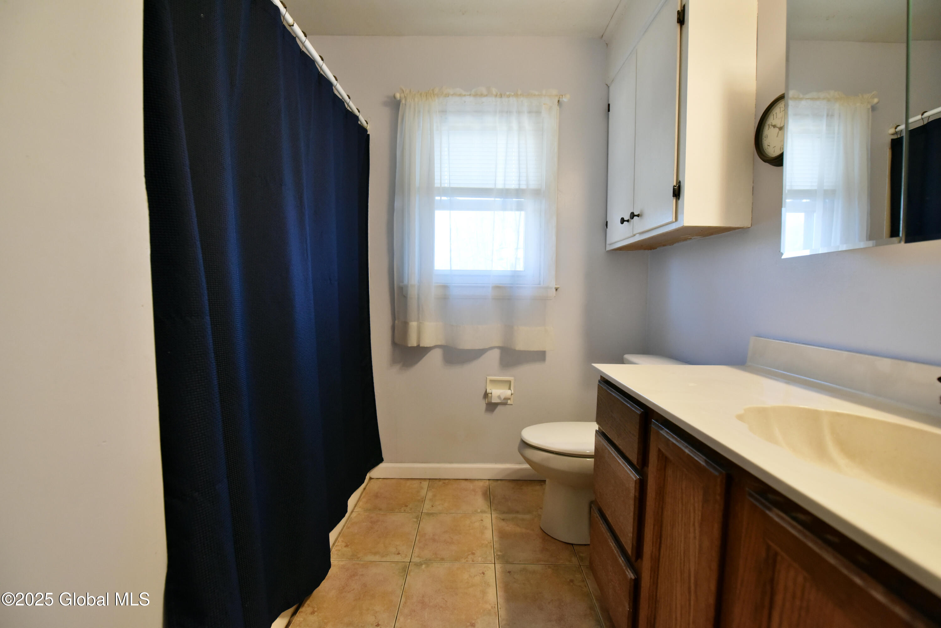 4 Lenann Drive, Altamont, New York image 12