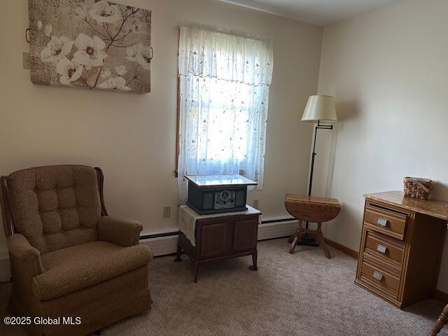10 Ridge Road Road, Ravena, New York image 12