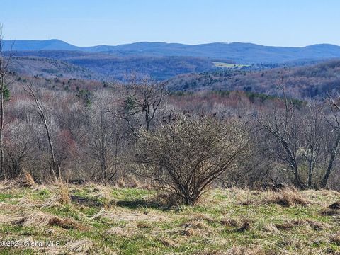 Vacant Land For Sale - L2 Lang Road<br/> Summit, NY 12175