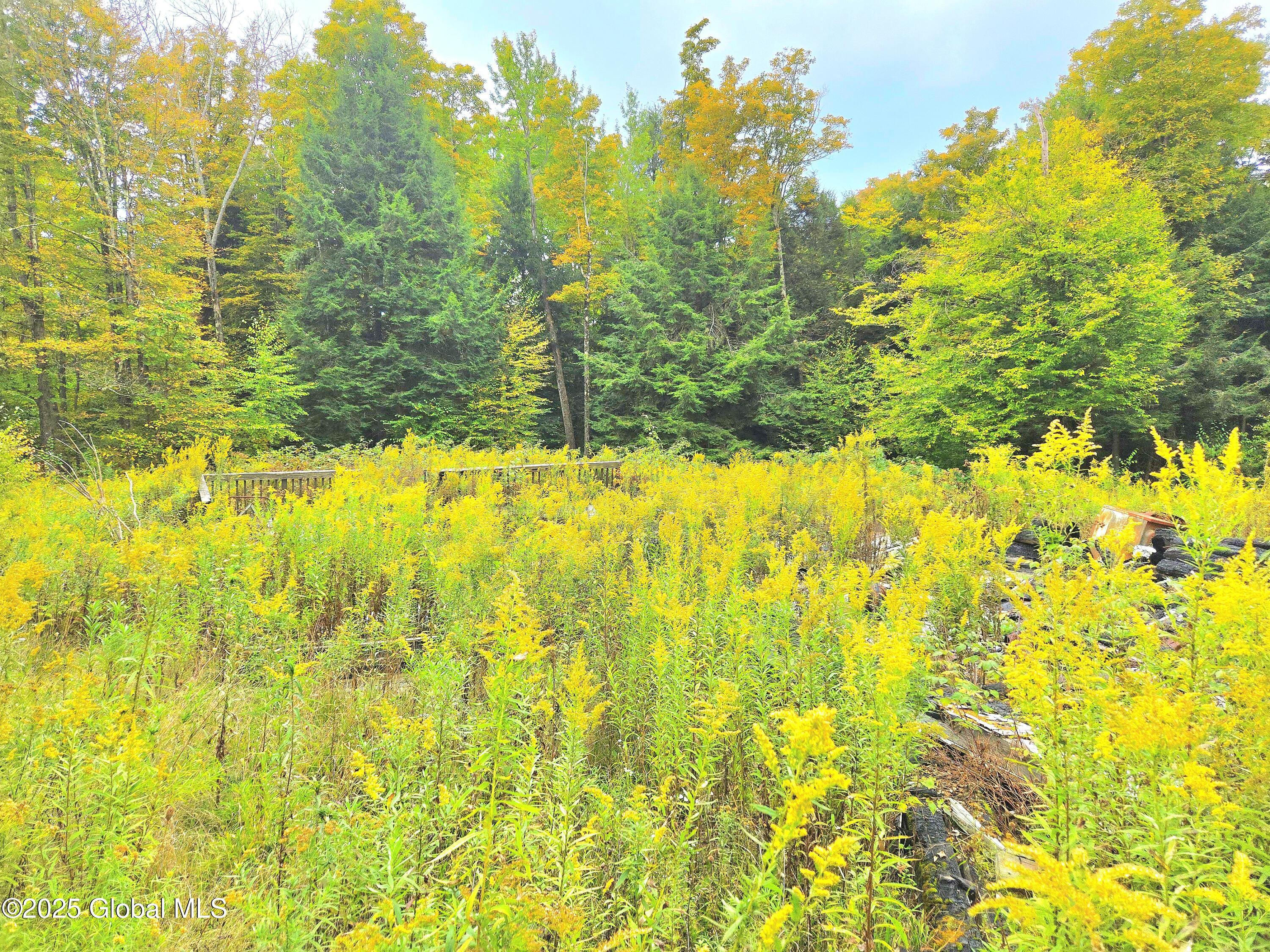 287 W Hill Road, Morris, New York image 8