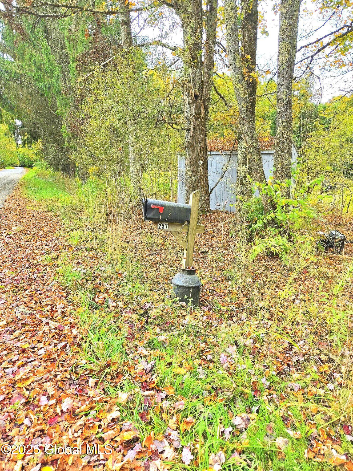 287 W Hill Road, Morris, New York image 1