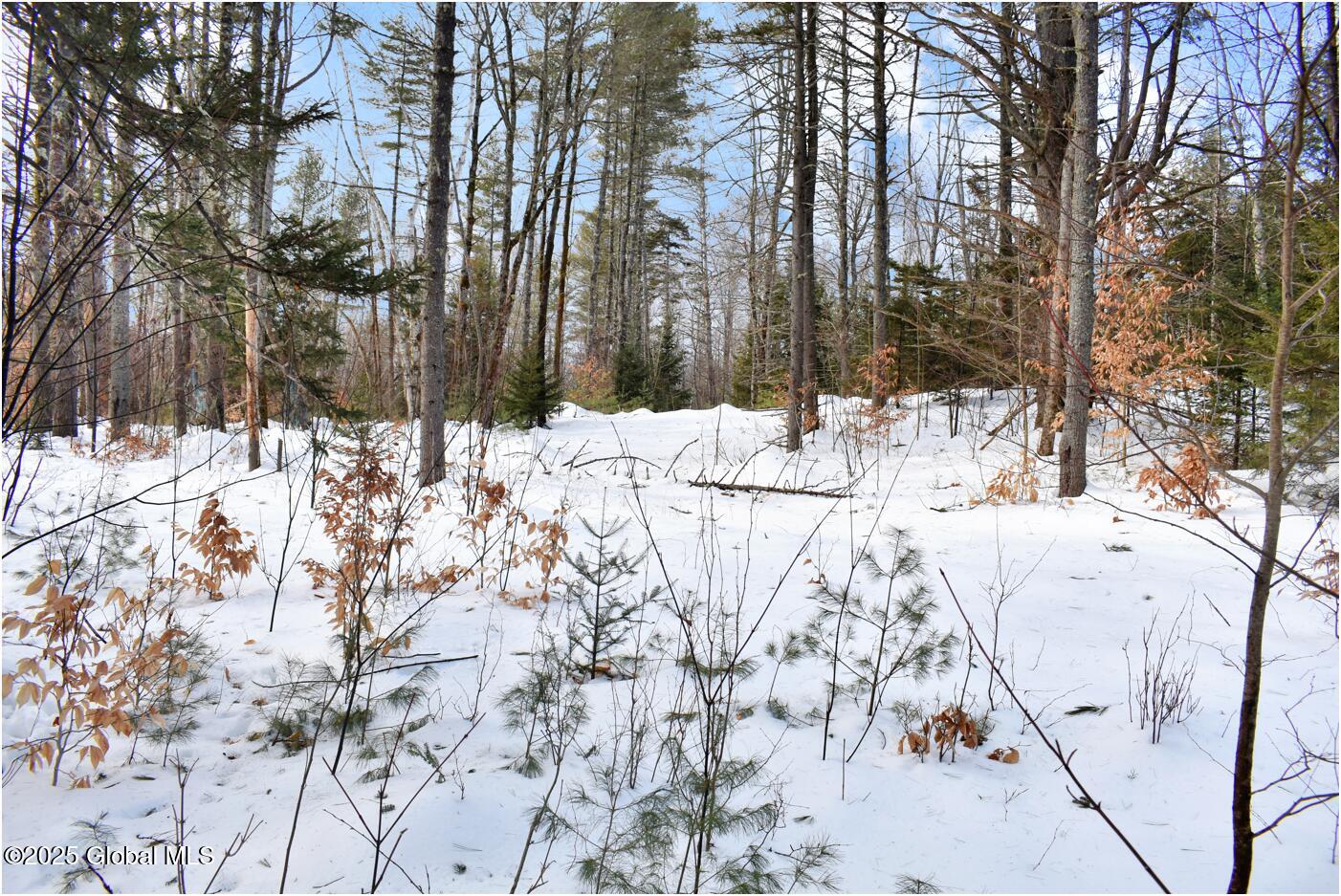 L95 Highview Lane #LOT 11, Wevertown, New York image 10