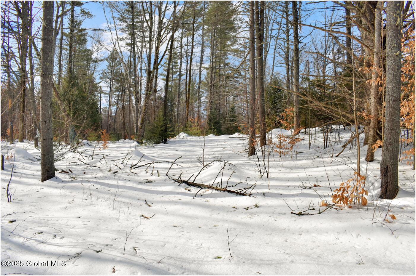 L95 Highview Lane #LOT 11, Wevertown, New York image 1