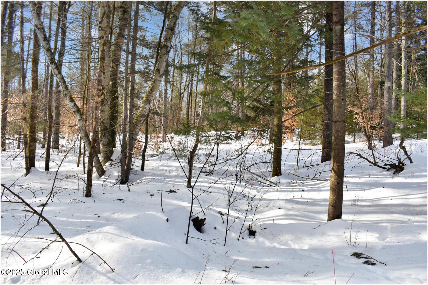 L95 Highview Lane #LOT 11, Wevertown, New York image 8