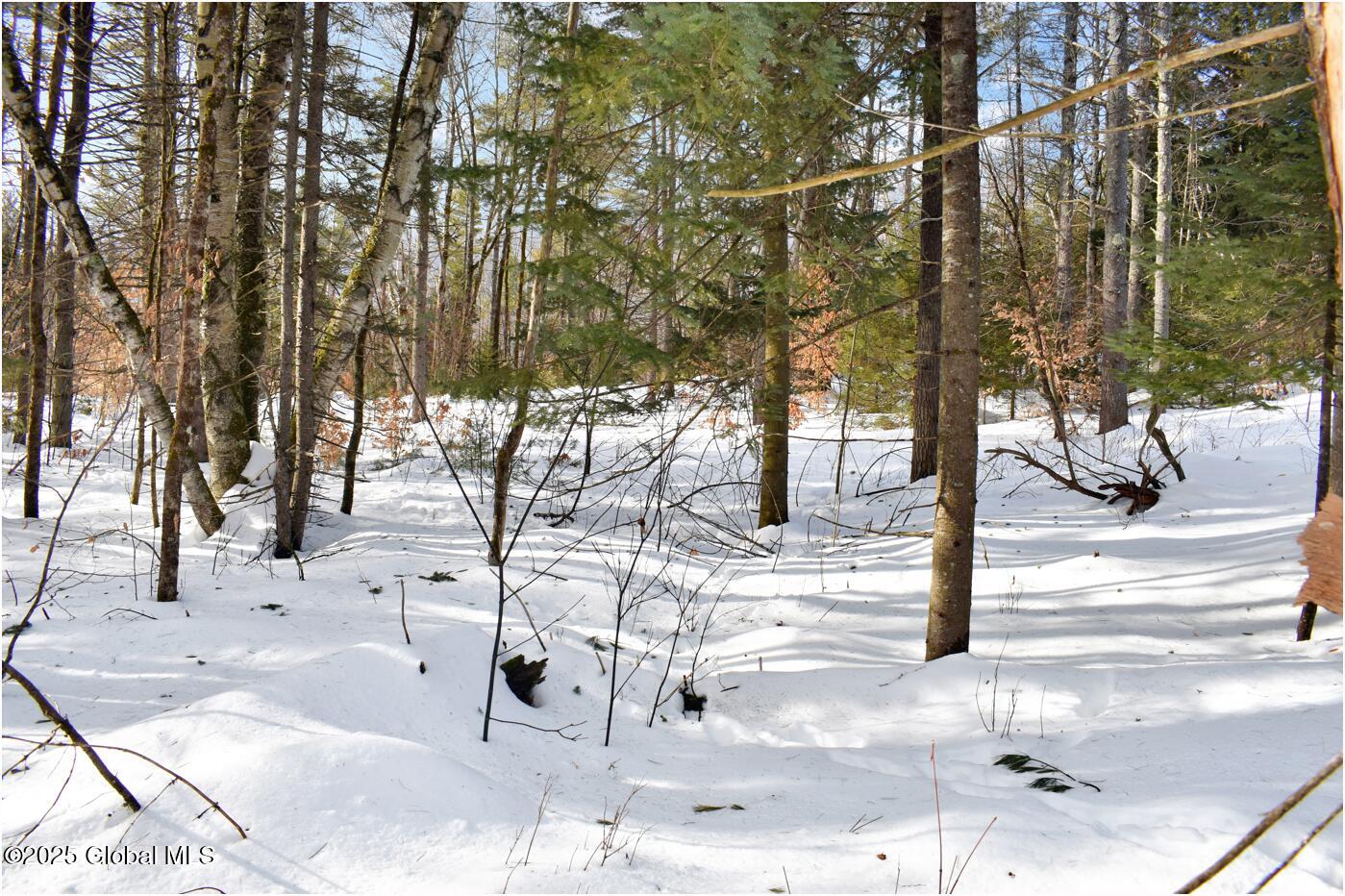 L95 Highview Lane #LOT 11, Wevertown, New York image 9