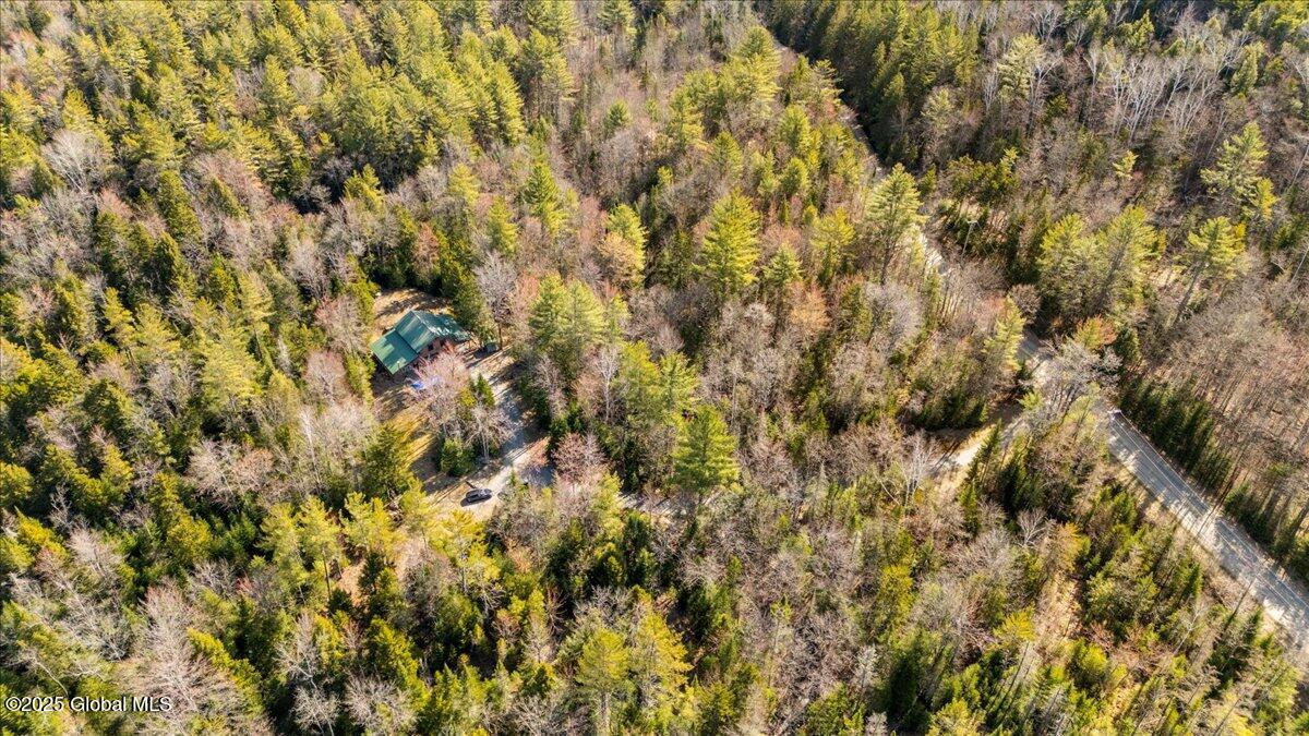 747 Irishtown Road, Olmstedville, New York image 38