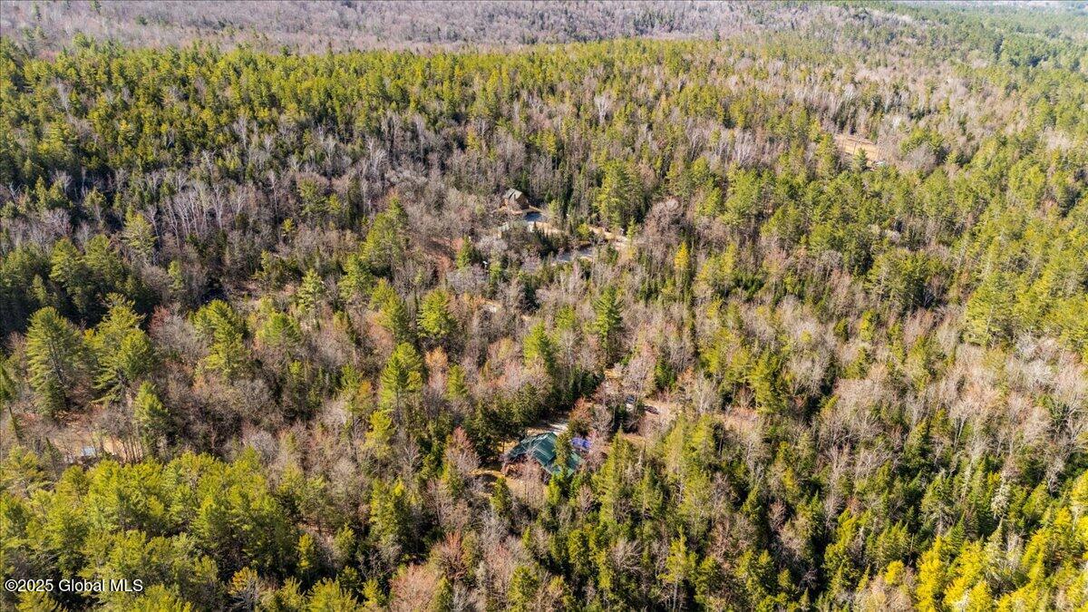 747 Irishtown Road, Olmstedville, New York image 37