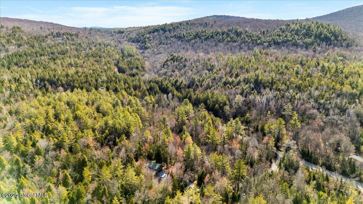 747 Irishtown Road, Olmstedville, New York image 21