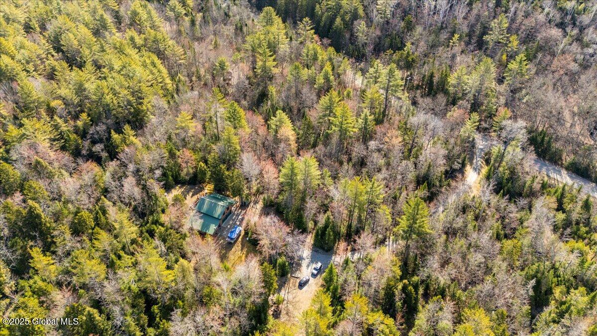 747 Irishtown Road, Olmstedville, New York image 20