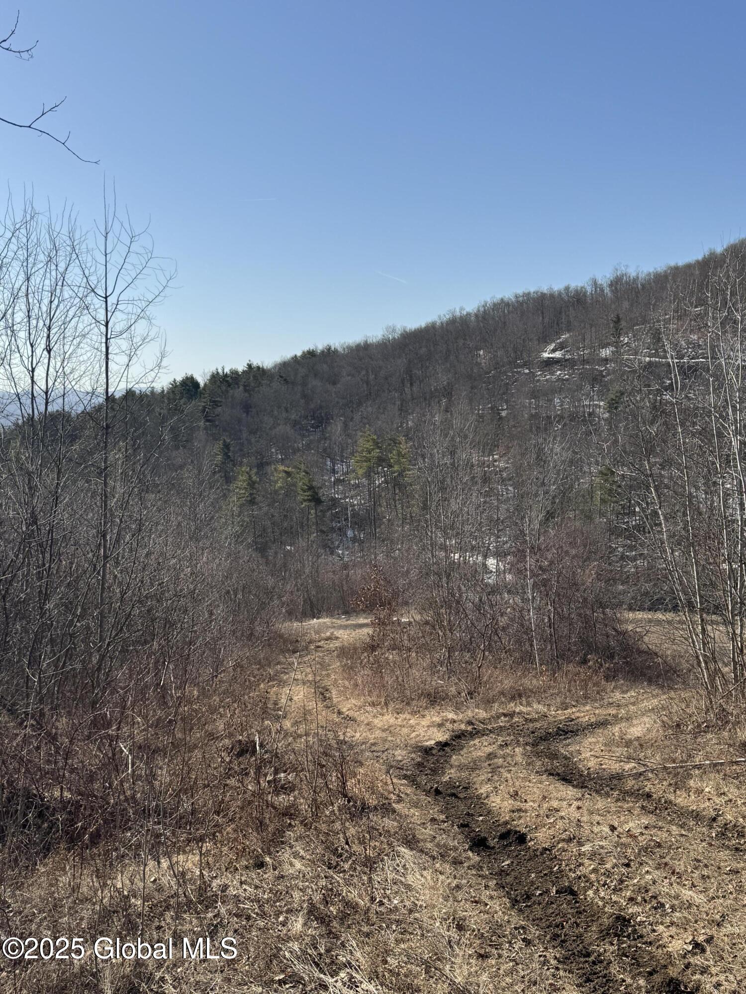 L1.5 State Route 22 Street, Granville, New York image 5
