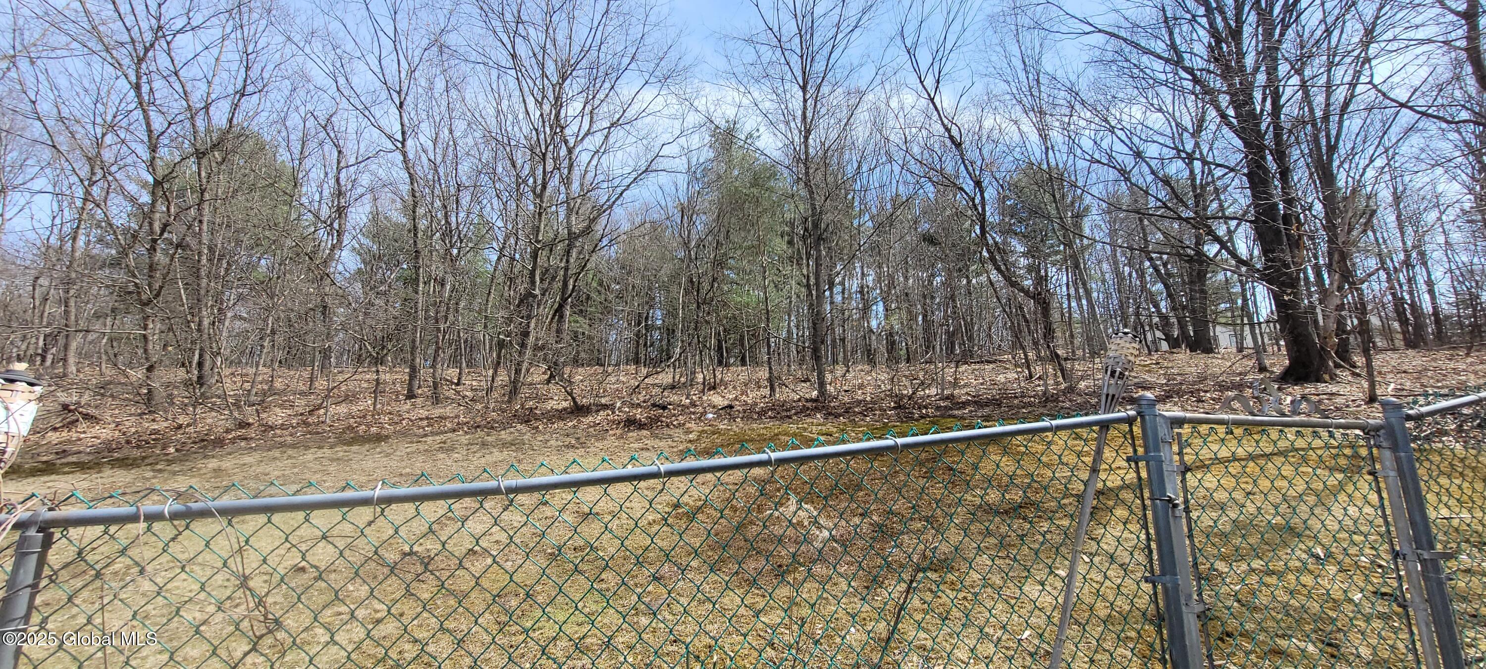 29 Nancy Drive, Troy, New York image 36