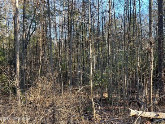 110 MIDDLE RD, LAKE GEORGE, NY 12845 - Image 0412812dbd4baf8a87e62d6cdac60aa1/3994152510
