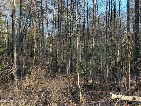 Vacant Land For Sale - 110 Middle Road #LOT 2<br/> Lake George, NY 12845