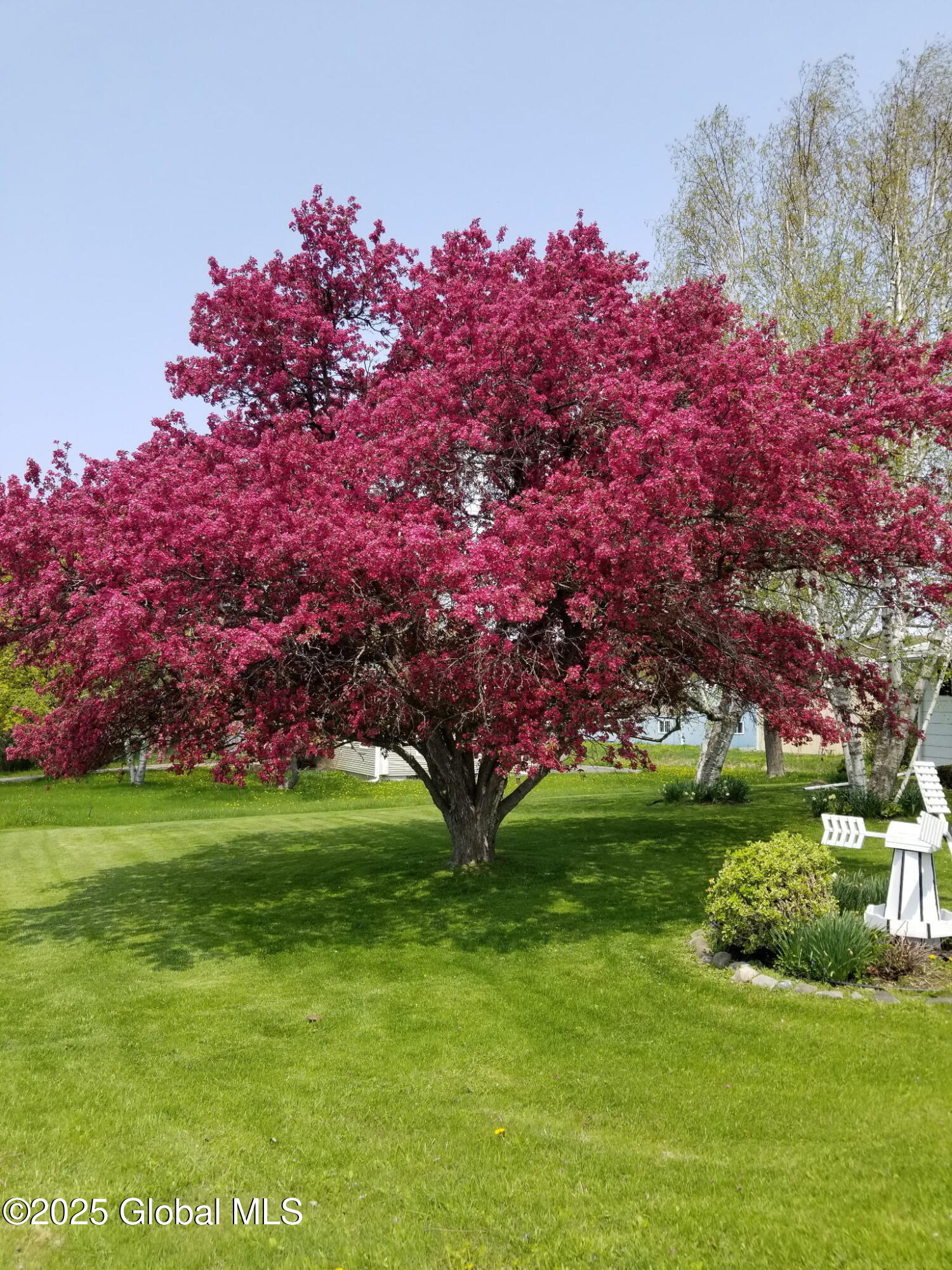 113 Royal Drive, Warnerville, New York image 48