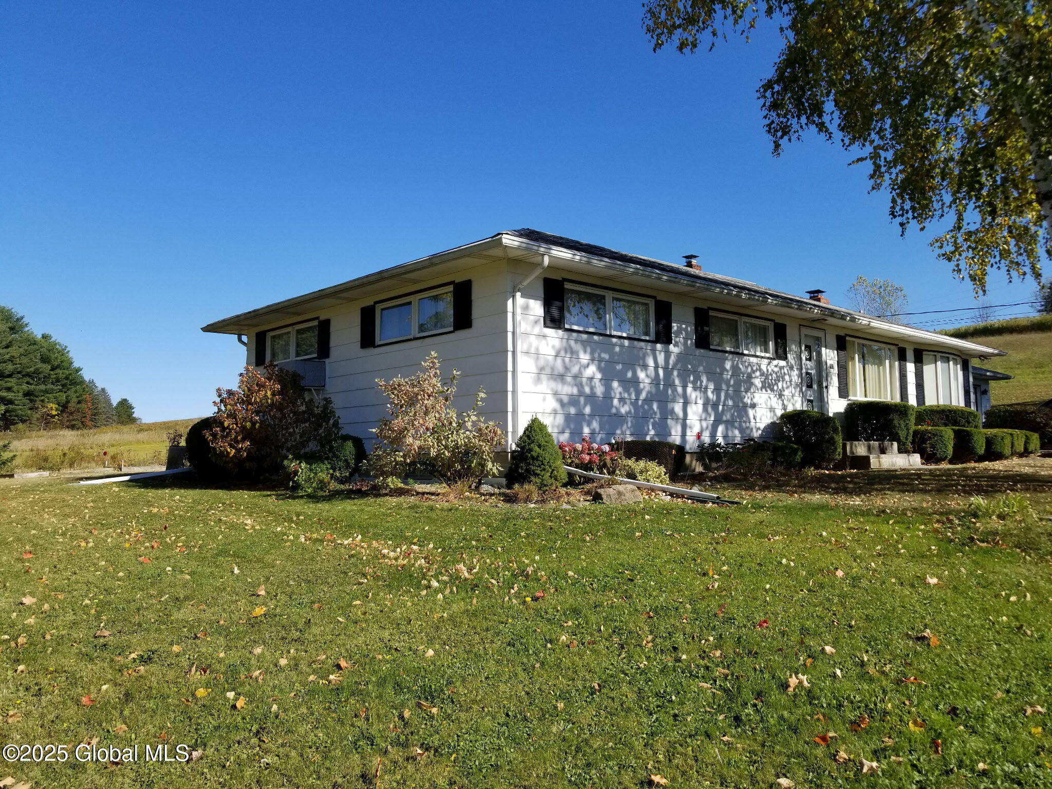 113 Royal Drive, Warnerville, New York image 49