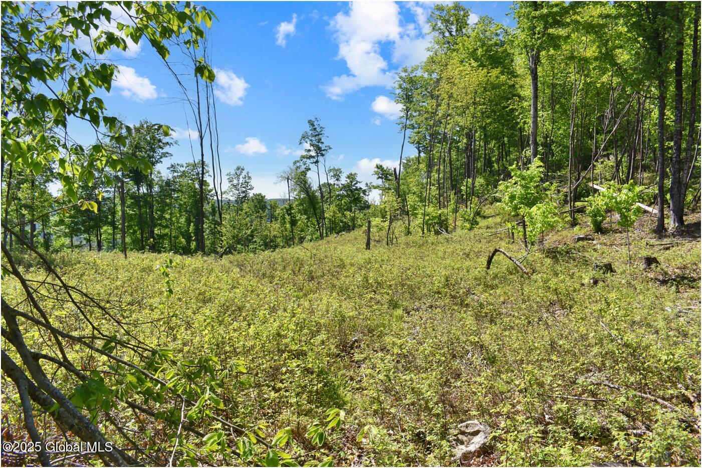 364 Pease Hill Road, Brant Lake, New York image 10