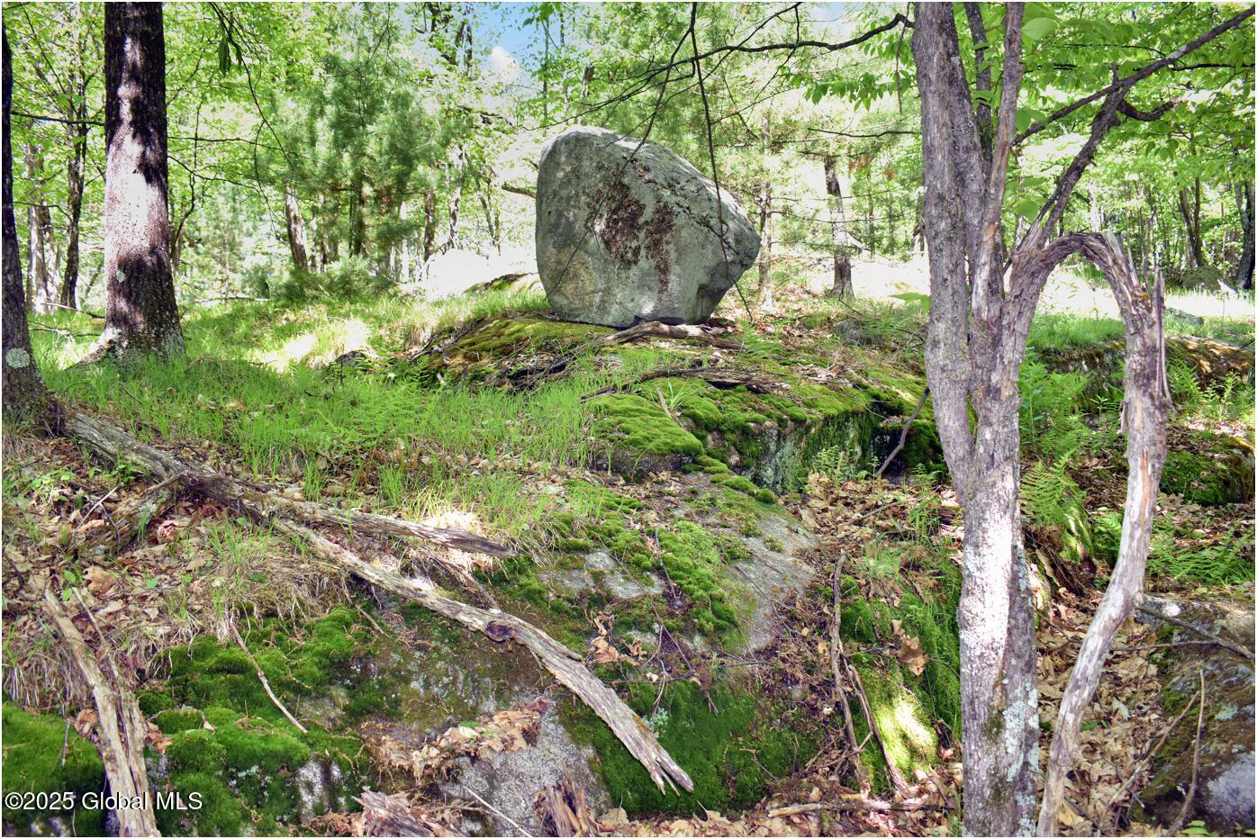 364 Pease Hill Road, Brant Lake, New York image 26