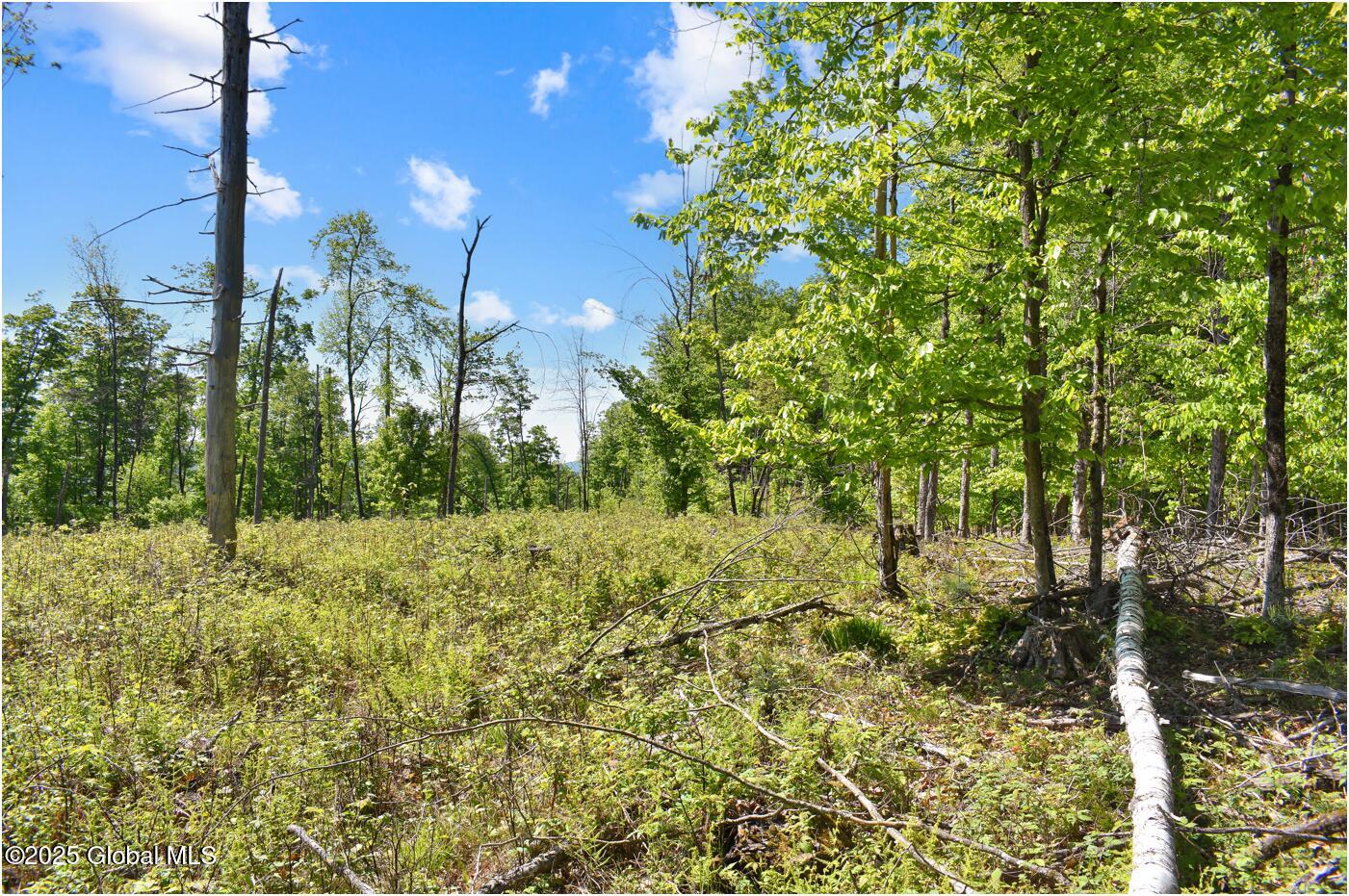 364 Pease Hill Road, Brant Lake, New York image 20