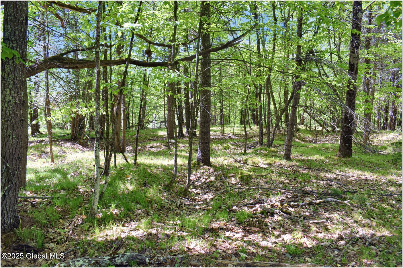 364 Pease Hill Road, Brant Lake, New York image 27