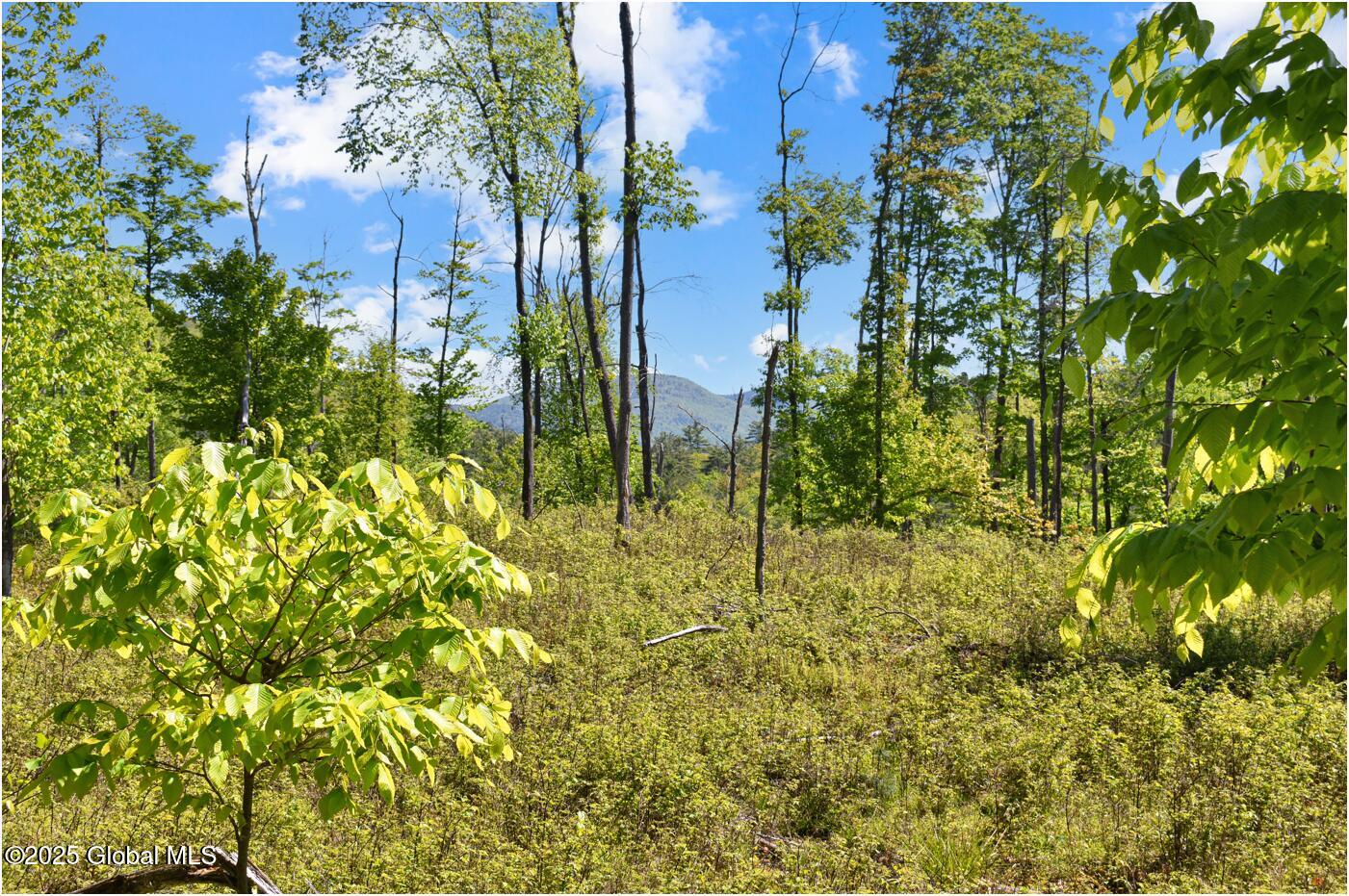 364 Pease Hill Road, Brant Lake, New York image 6