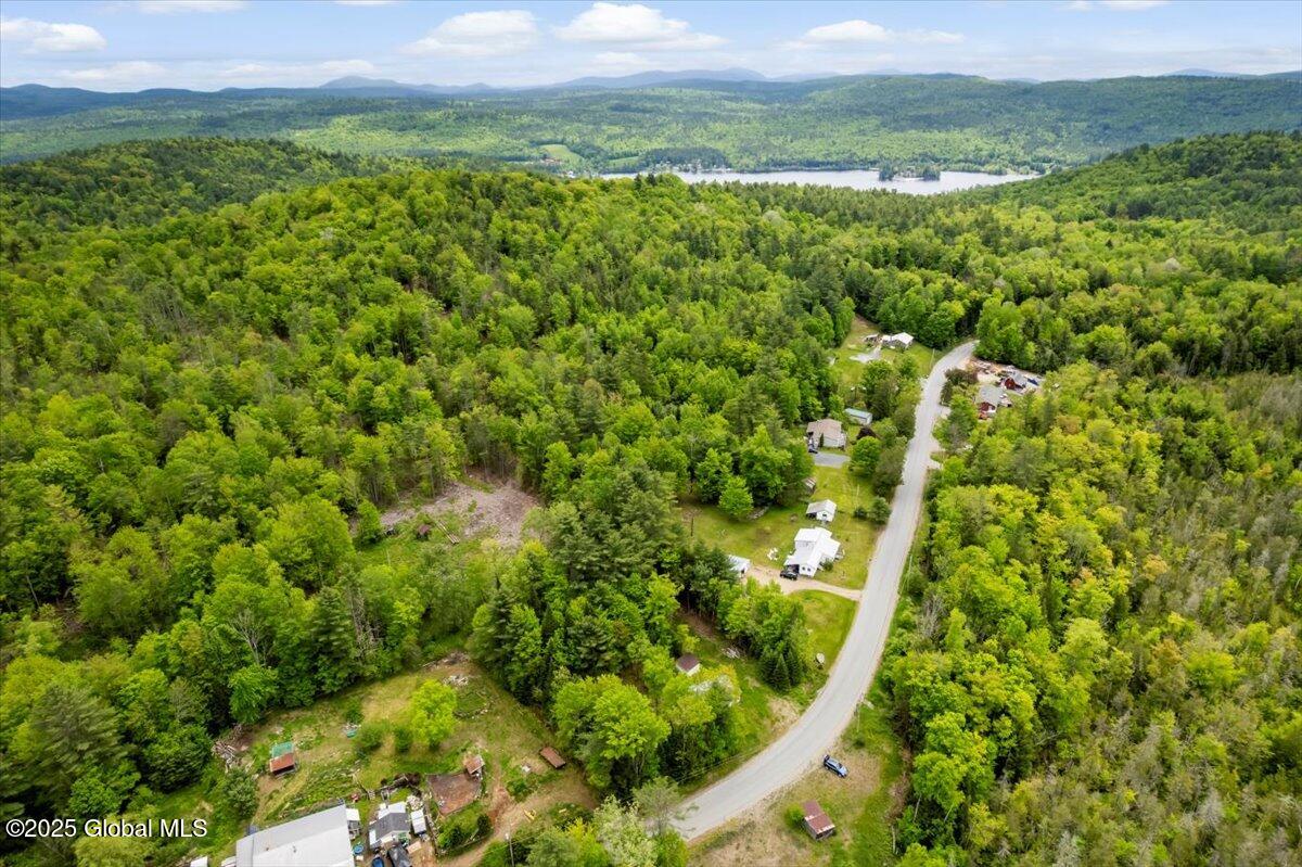 364 Pease Hill Road, Brant Lake, New York image 18