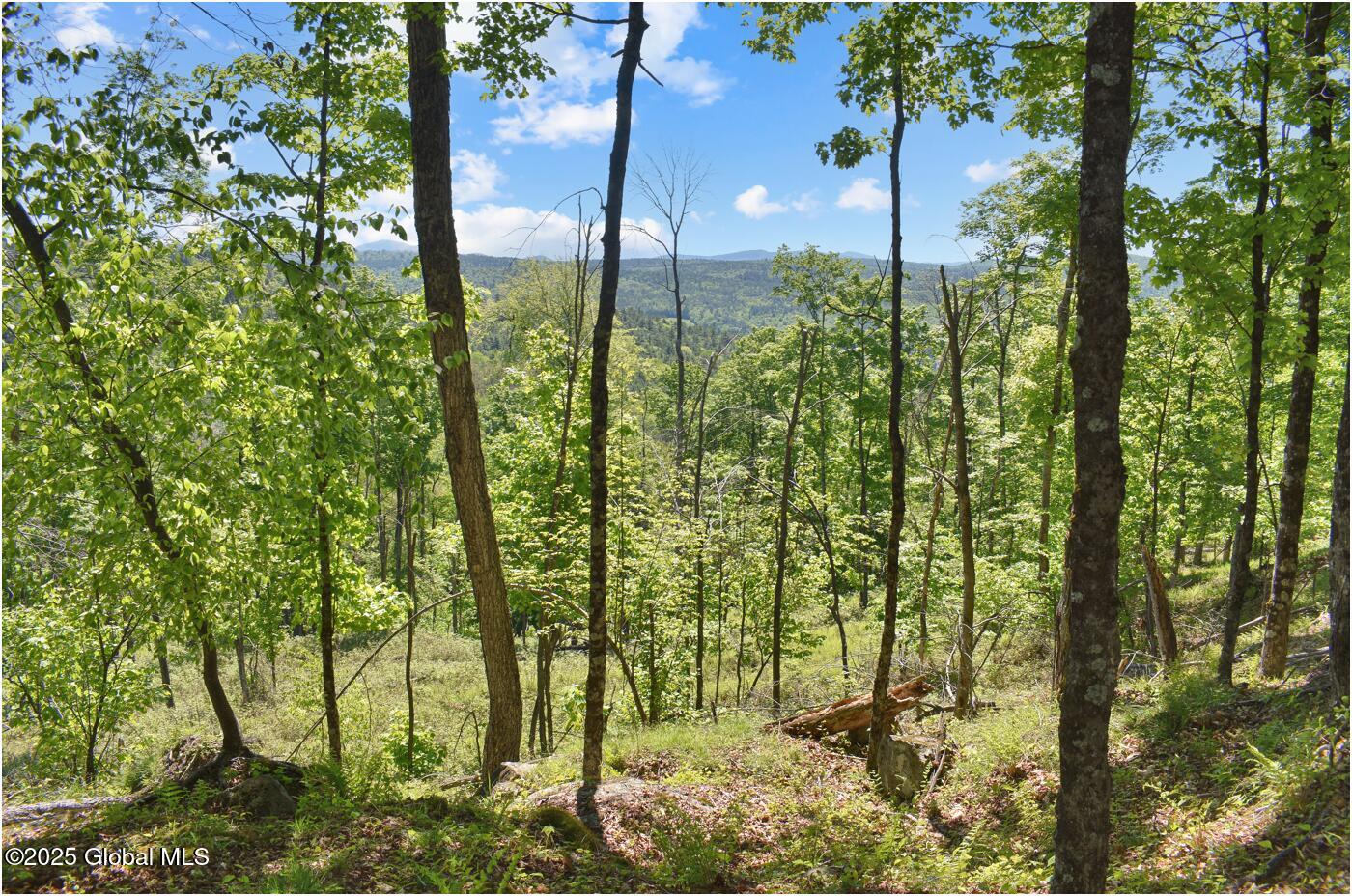 364 Pease Hill Road, Brant Lake, New York image 5