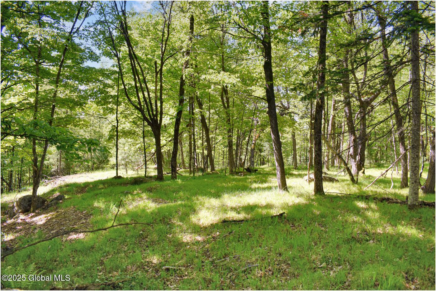 364 Pease Hill Road, Brant Lake, New York image 28