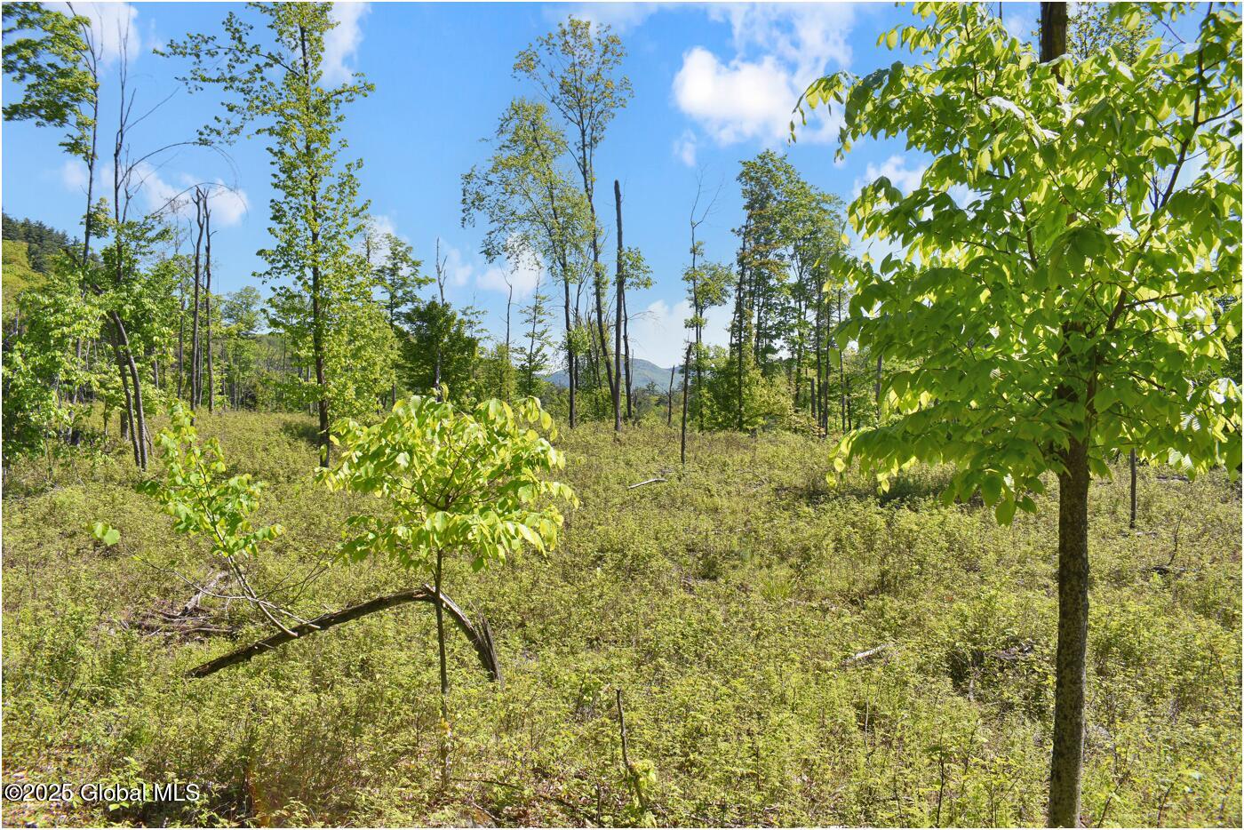364 Pease Hill Road, Brant Lake, New York image 9
