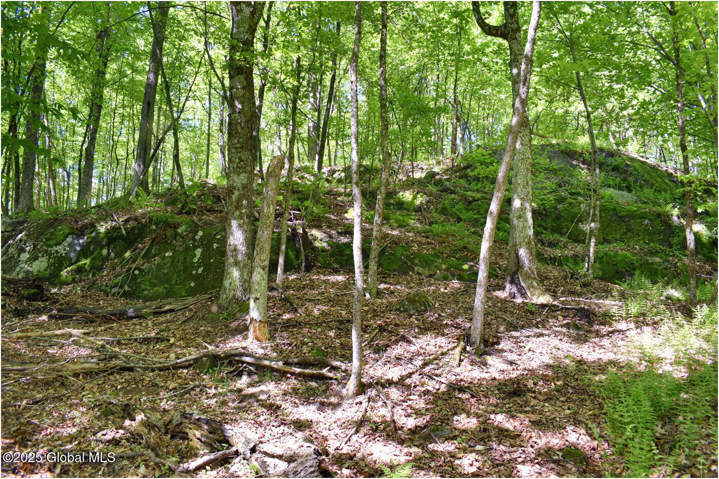 364 Pease Hill Road, Brant Lake, New York image 23