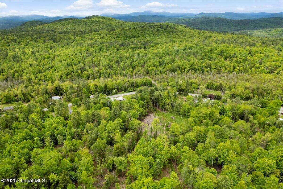 364 Pease Hill Road, Brant Lake, New York image 16