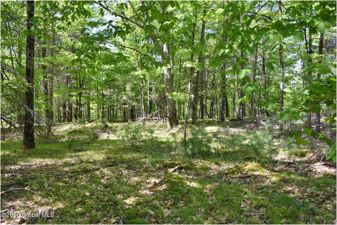 364 Pease Hill Road, Brant Lake, New York image 22