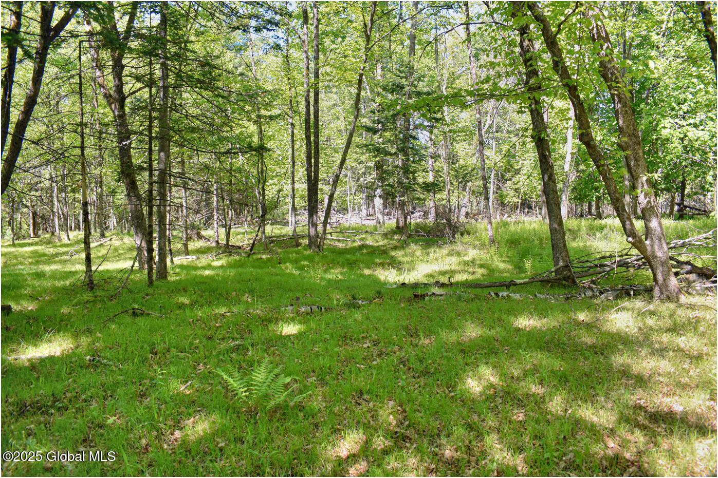 364 Pease Hill Road, Brant Lake, New York image 29