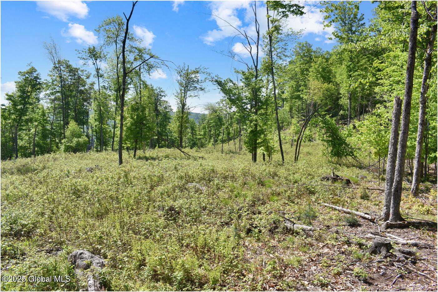 364 Pease Hill Road, Brant Lake, New York image 8