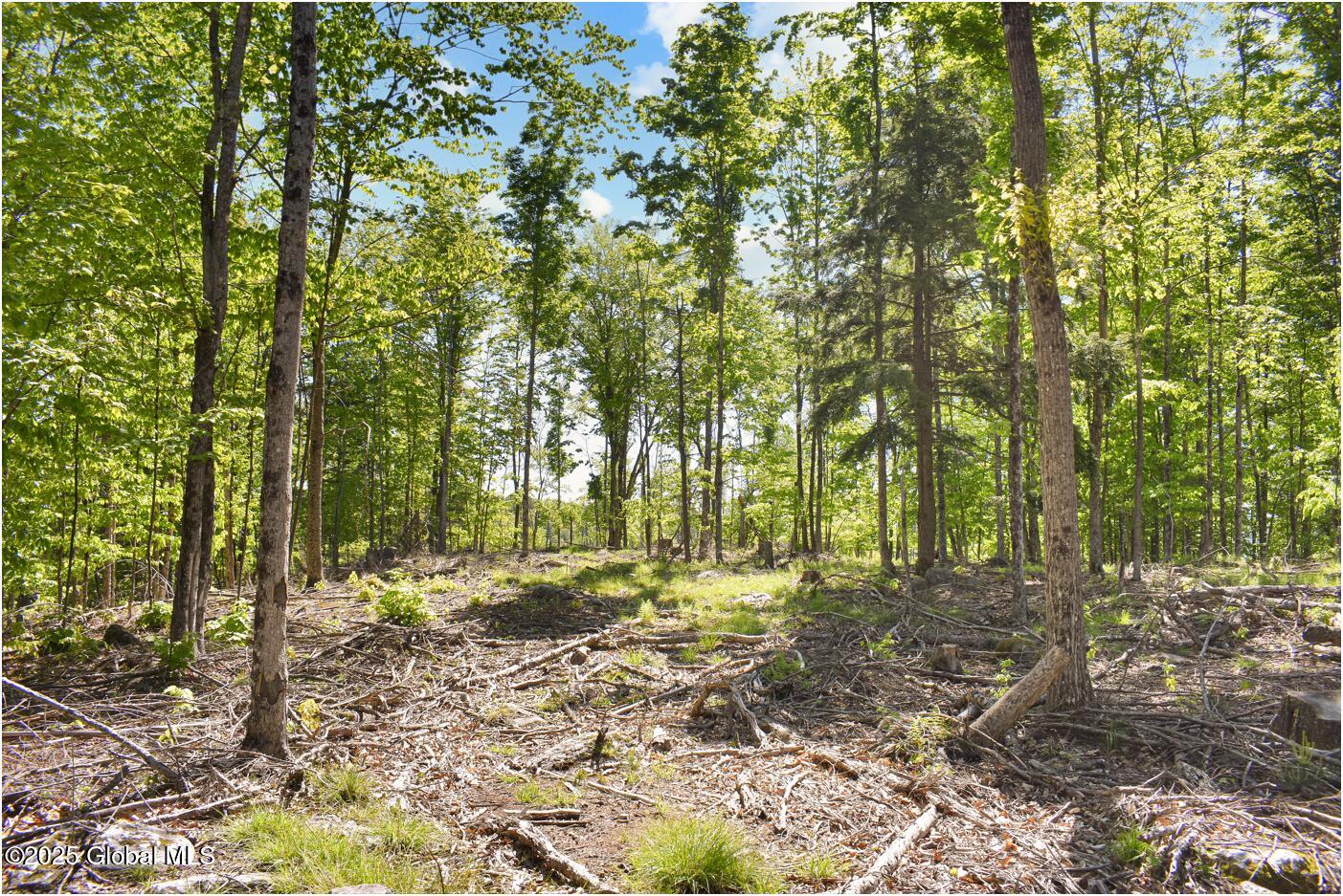 364 Pease Hill Road, Brant Lake, New York image 19