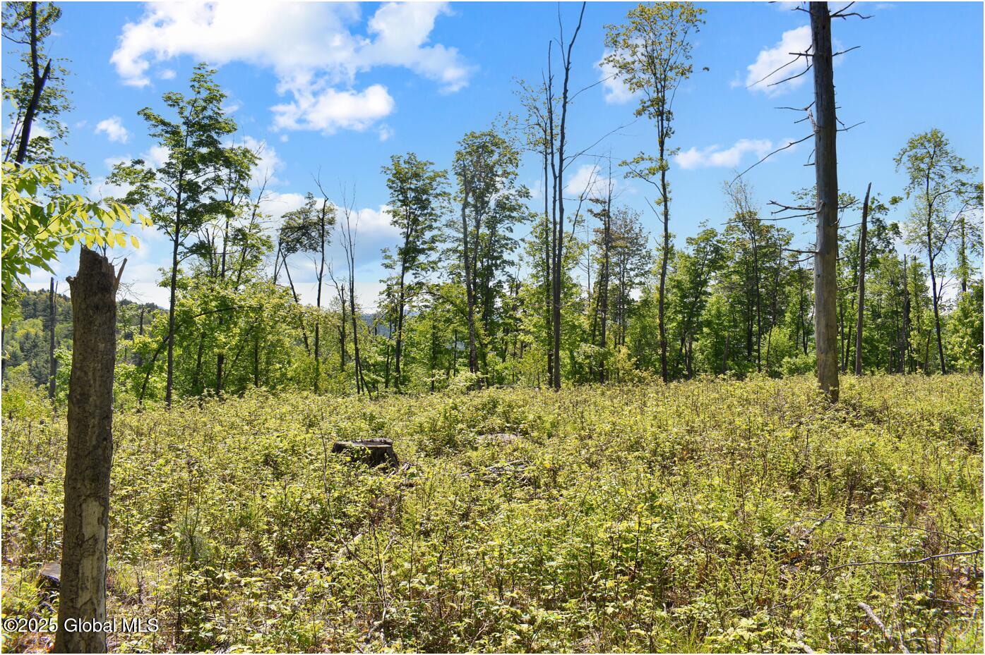 364 Pease Hill Road, Brant Lake, New York image 21