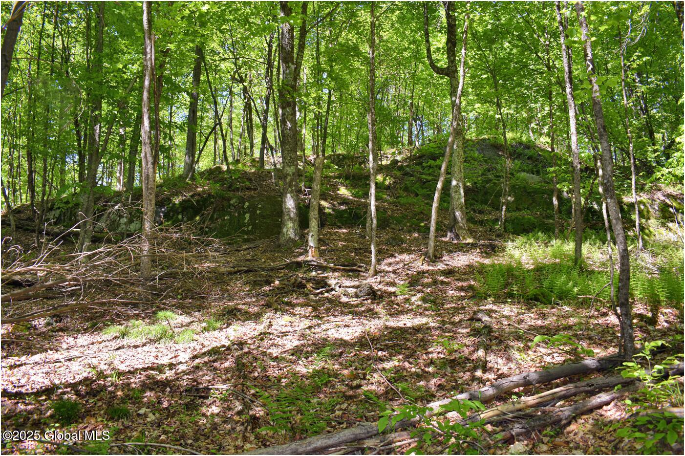 364 Pease Hill Road, Brant Lake, New York image 24