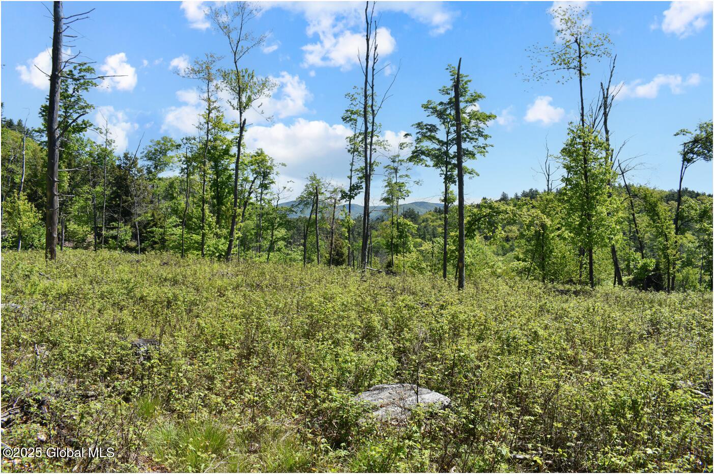 364 Pease Hill Road, Brant Lake, New York image 11
