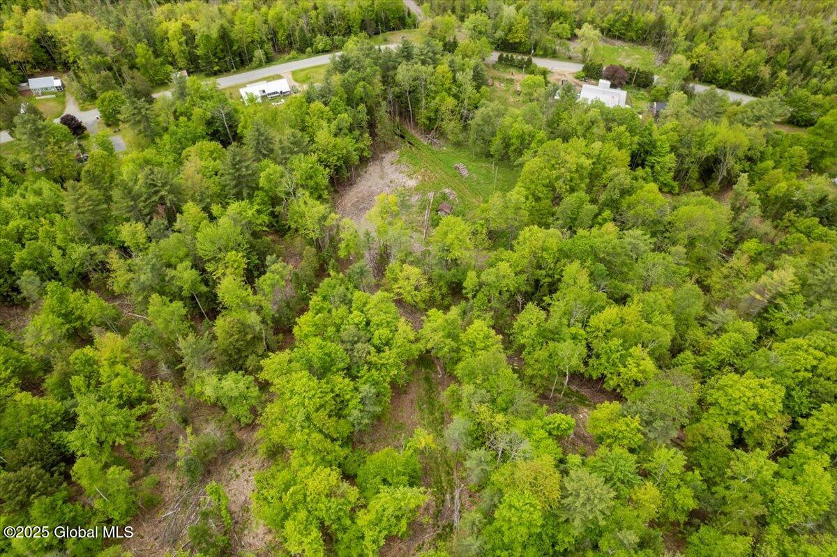 364 Pease Hill Road, Brant Lake, New York image 17
