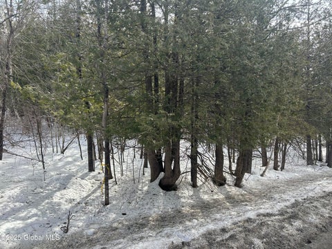 Vacant Land For Sale - L24 Hogback Road<br/> Crown Point, NY 12928