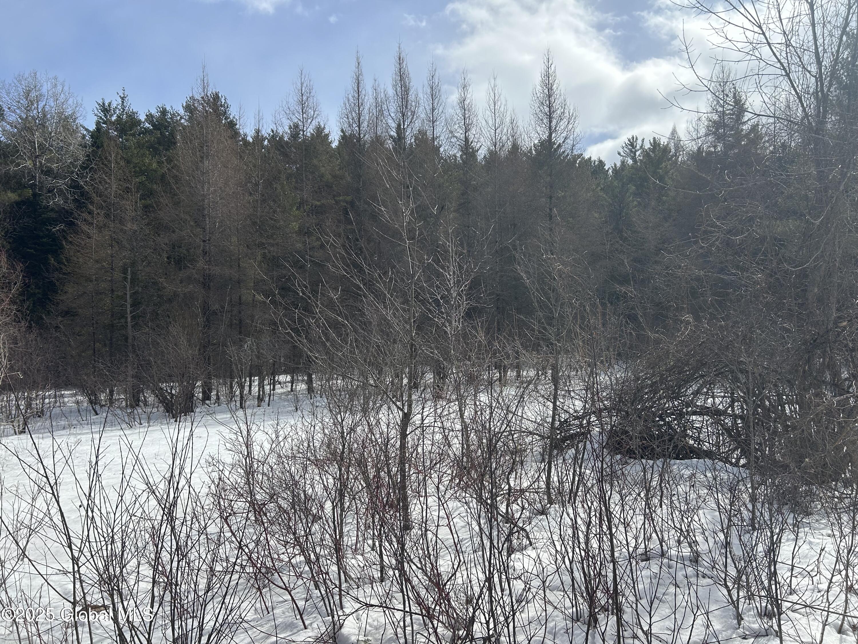 L24 Hogback Road