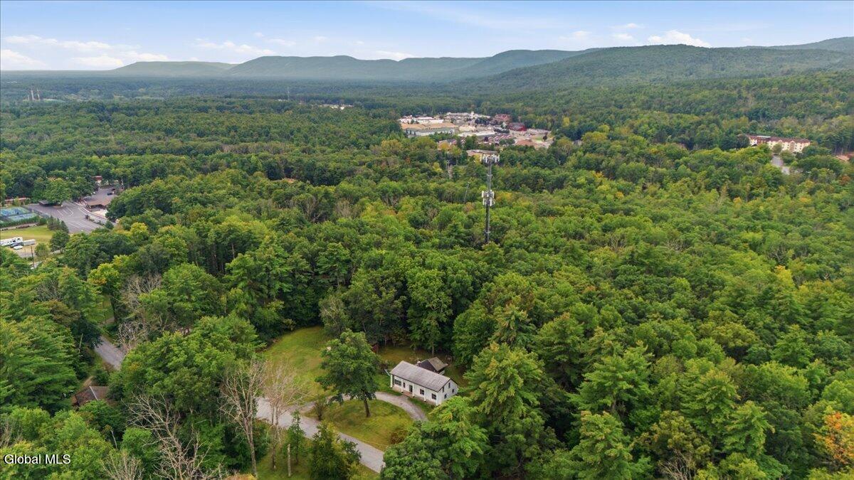 35 French Mountain Drive