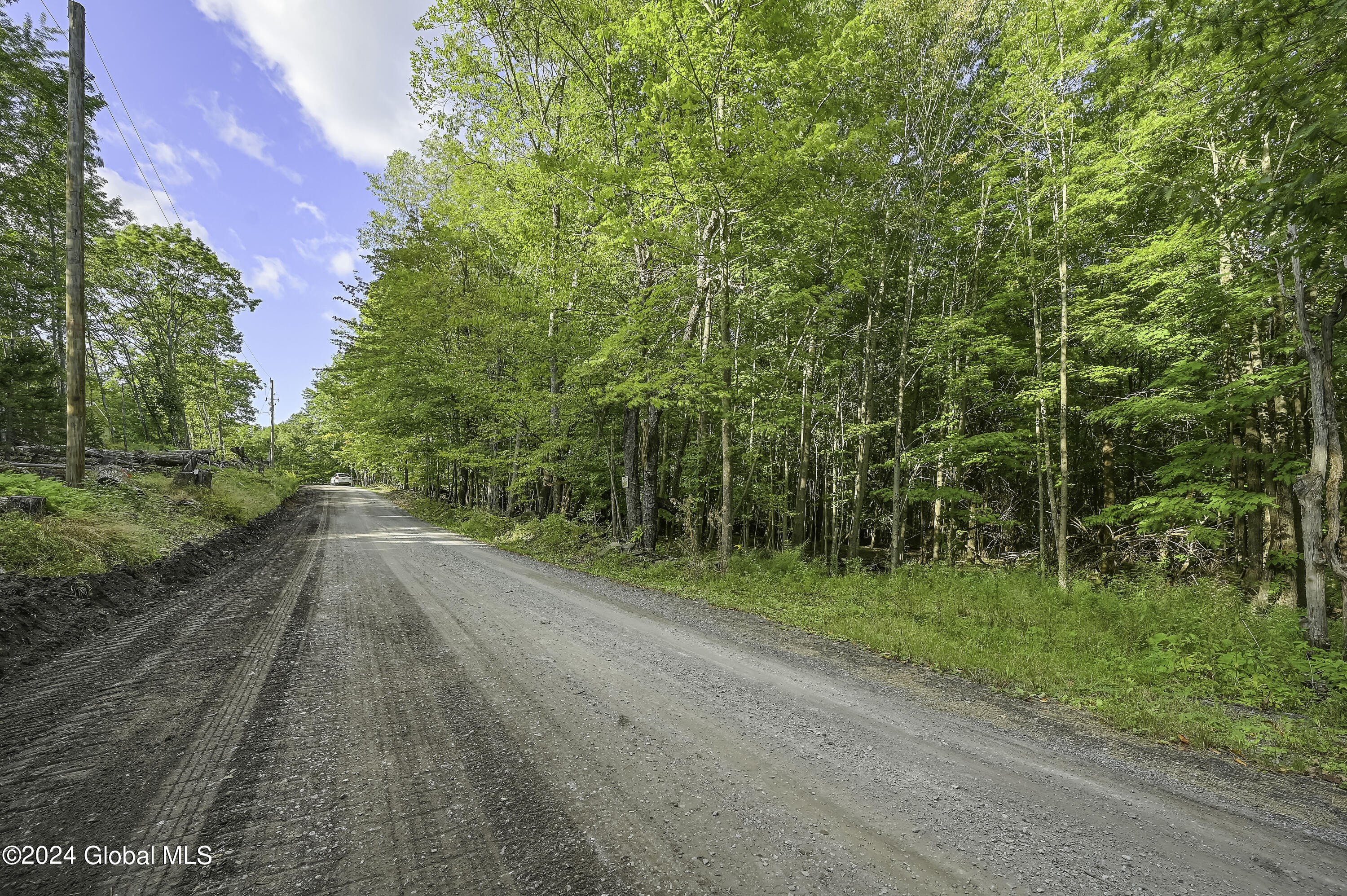 L3.21 Otte Road, Richmondville, New York image 9