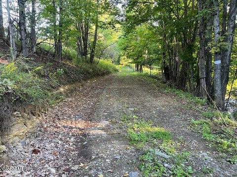 Vacant Land For Sale - L1.12 Rossman Fly Road<br/> Schoharie County, Summit, NY 12175
