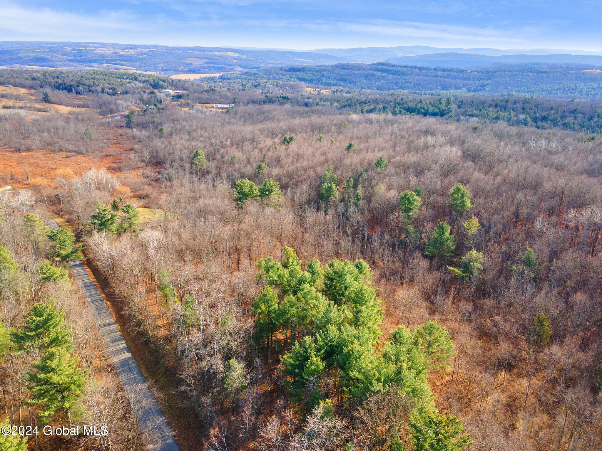 184 Curry Hill Road, Sloansville, New York image 1