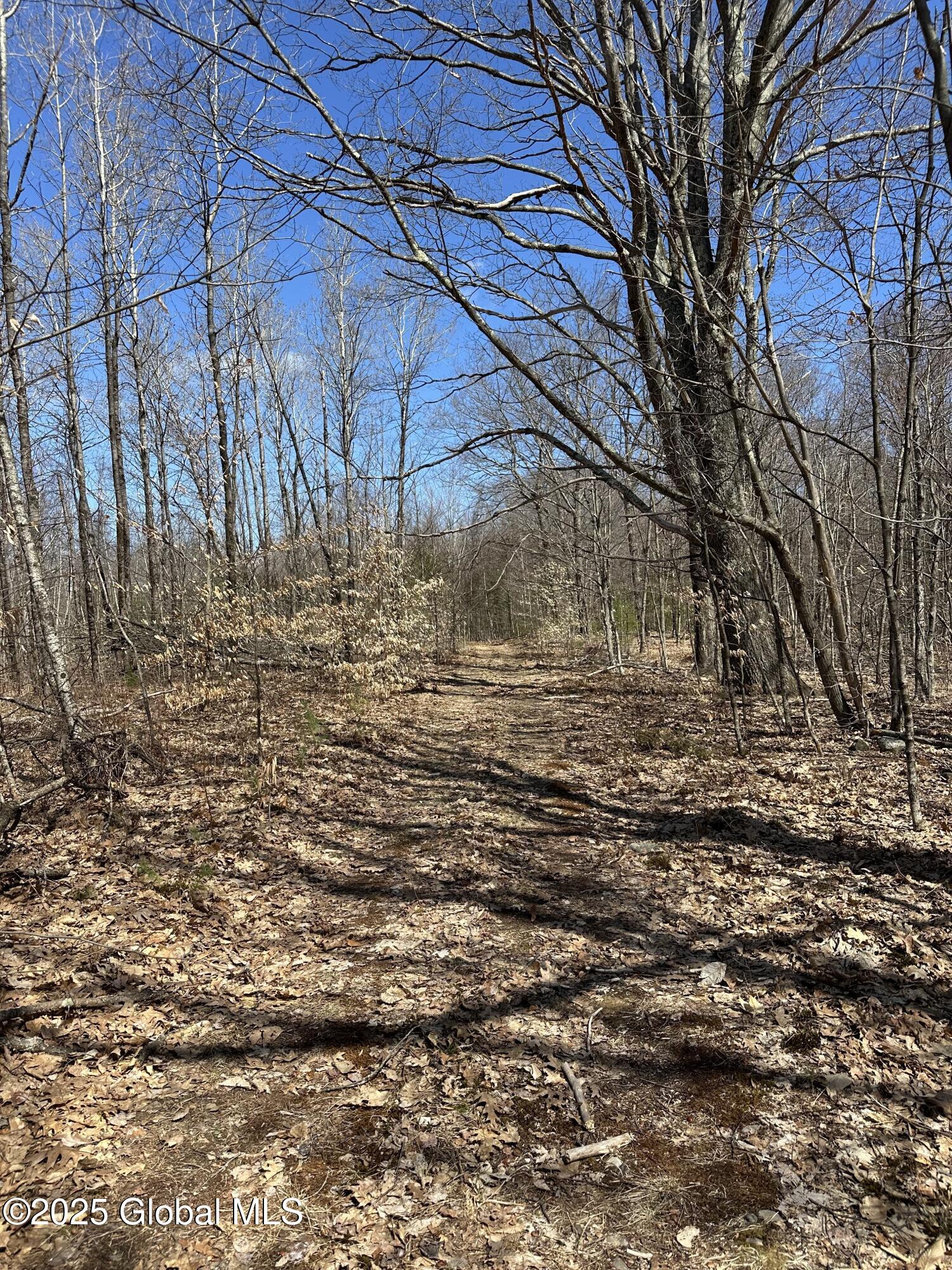 230 S Road, Averill Park, New York image 36