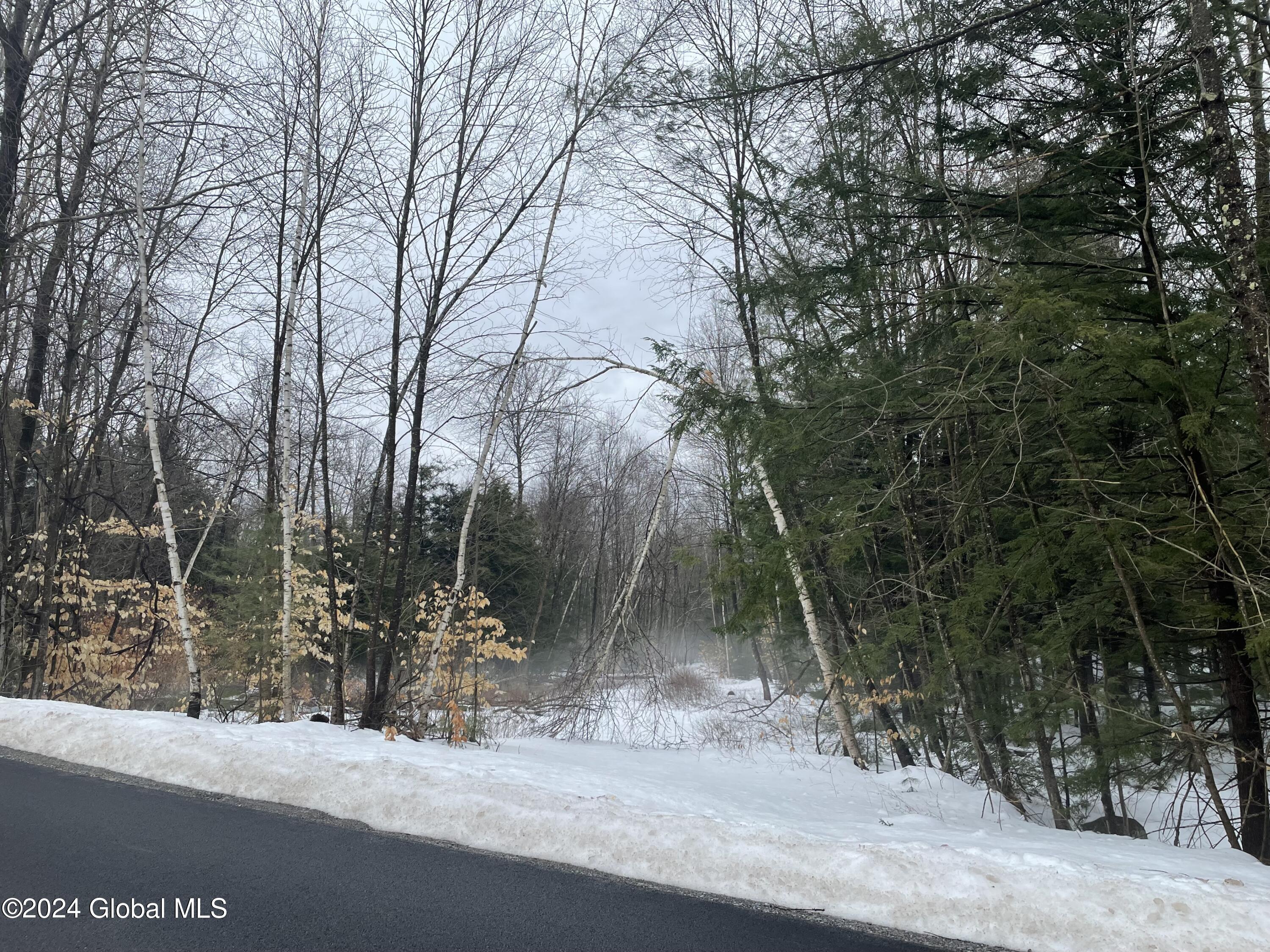 L93 Lois Lane, Lake Luzerne, New York image 4