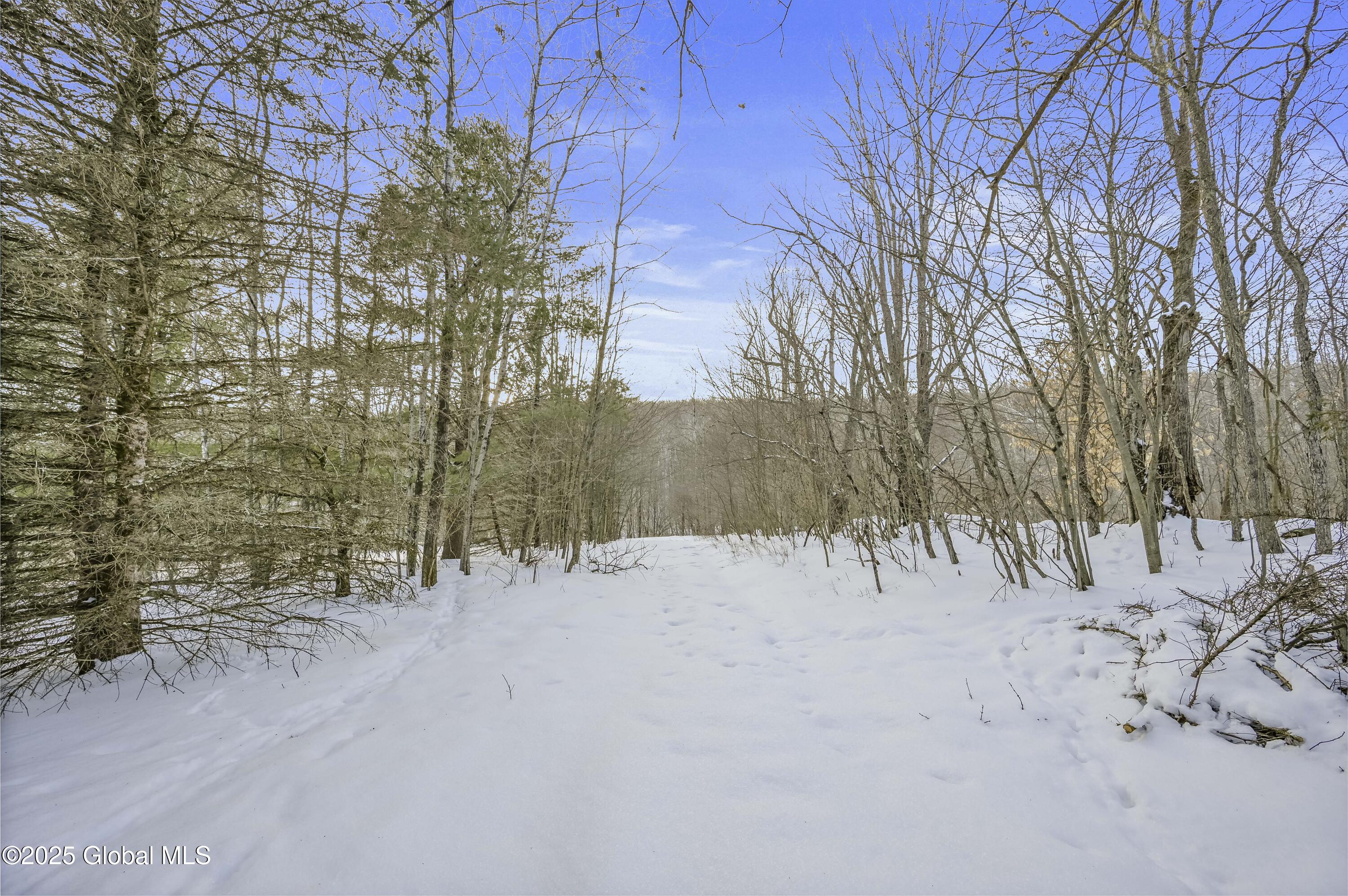 681 Richardson Hill Road, Sidney Center, New York image 12