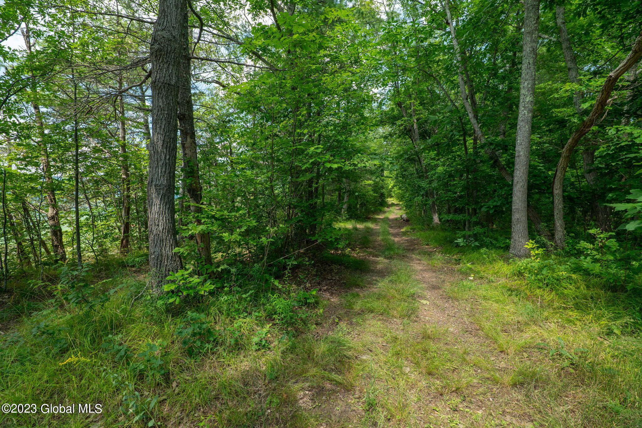 L16 Mt Path, Middleburgh, New York image 4