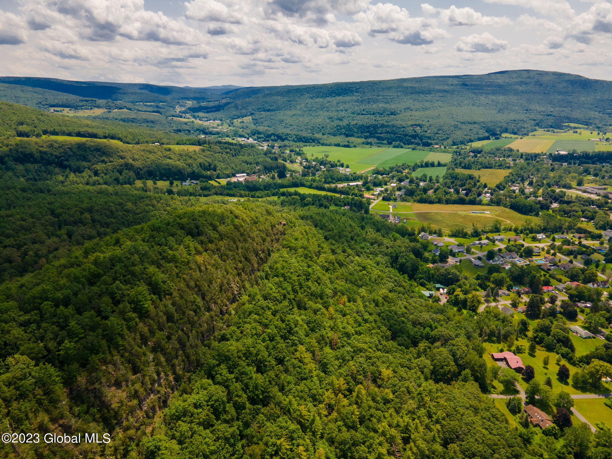 L16 Mt Path, Middleburgh, New York image 9